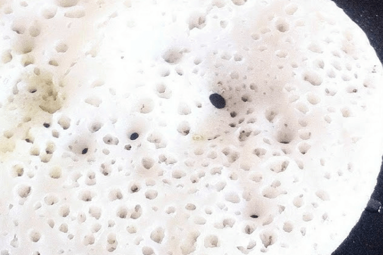 steamed dosa