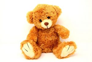 teddy-2989138_640