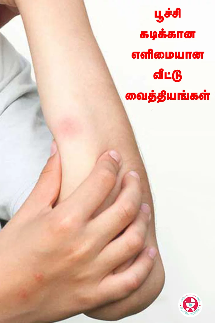 Poochi Kadikkana Veetu Viathiyam