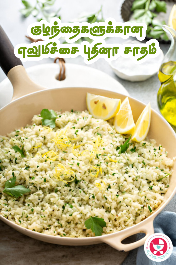 Lemon Pudina Rice Recipe