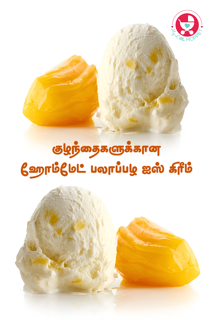 Jackfruit Ice cream Jackfruit Ice cream